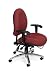24 Hour Computer Task Chair