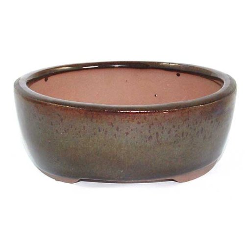 13cm Dark Brown Oval Bonsai Pot