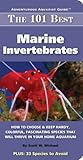 101 Best Marine Invertabrates (Adventurous Aquarist Guide) 101 Best Marine Invertabrates (Adventurous Aquarist Guide)