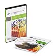 XL INTERNATIONAL 5.1 RIP SOFTWARE SOFTWARE RIP FOR THE DESIGNJET Z PHOTO P