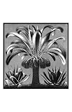 Palm, c.1933 Styles Art Poster Print by M. C. Escher, 11x17