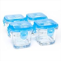 Glass Baby Food Containers with Blueberry Lid