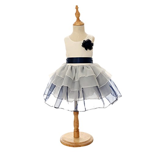 Mingao Toddler Little Girls' Lace Cake Layer Princess Skirt Dresses