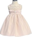 New Satin & Lace Trim Flower Girl Dress ~ 6M to 24M (3 Assorted Colors)