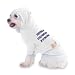 Everything I say is fully substantiated by my own opinion Hooded (Hoody) T-Shirt with pocket for your Dog or Cat XS White