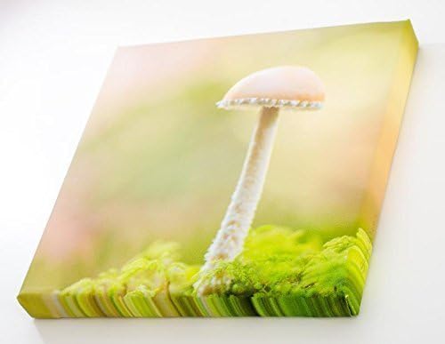 8x8" Canvas Gallery Wrap Print: "Mushroom in a Tiny Tutu".