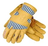 Spyder Men's Workhorse Glove