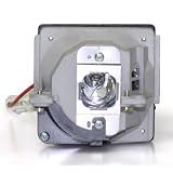 Liberty Brand Replacement Lamp for INFOCUS SP-LAMP-025 including generic housing and brand new Phoenix lamp