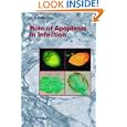 Role of Apoptosis in Infection (Current Topics in Microbiology and Immunology) by Diane E. Griffin
