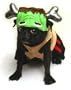 Pet Costume Barkenstein Medium 4