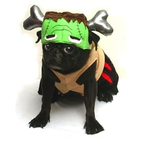 Pet Costume Barkenstein Medium 4