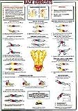 Back Exercises (Floor) Chart