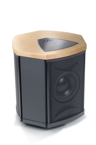 MartinLogan Depth i High-Performance Triple 8-Inch Servo-Control Subwoofer (Single, Natural Cherry)