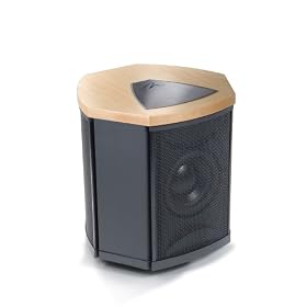 MartinLogan Depth i High-Performance Triple 8-Inch Servo-Control Subwoofer (Single, Natural Cherry) by