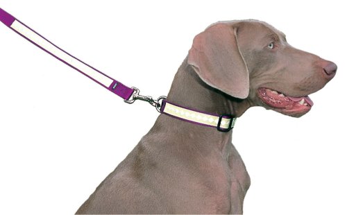 Nite Lite Collar Small 3/4 Red