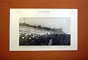 YANGTSE VALLEY POPPY FIELD SZECHUAN PROVINCE 1899 PRINT
