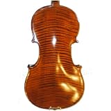 Molinari 406-4 4/4 Size Intermediate  Violin Outfit - Nitrocellulose Finish