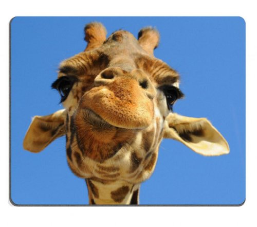 Funny closeup Giraffe zoo animal Mouse Pads Customized Made to Order Support Ready 9 7/8 Inch (250mm) X 7 7/8 Inch (200mm) X 1/16 Inch (2mm) High Quality Eco Friendly Cloth with Neoprene Rubber Liil Mouse Pad Desktop Mousepad Laptop Mousepads Comfortable Computer Mouse Mat Cute Gaming Mouse pad