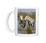 Photo Mugs