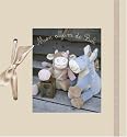 Mon album de bébé