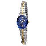 Armitron Womens 753769BLTT NOW Two-Tone Expans