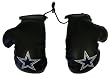 NFL Dallas Cowboys Car Rearview Mirror Mini Boxing Gloves