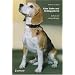 Eine Liebe mit Schlappohren - Leben mit einem Beagle