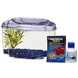 Marina Betta Pals Kit, Purple