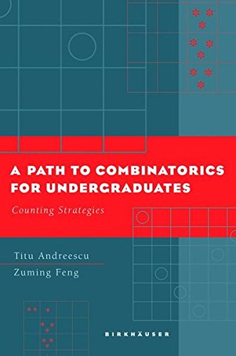 A Path to Combinatorics for Undergraduates: Counting Strategies