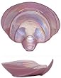 Large Glass Orchid Pink Cockle Shell Dish 9 1/2" x 8 1/4"