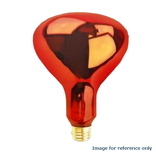 How to Raise Homegrown Natural Turkeys