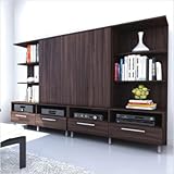 Sonax Contemporary Entertainment Center in Ebony Pecan Finish