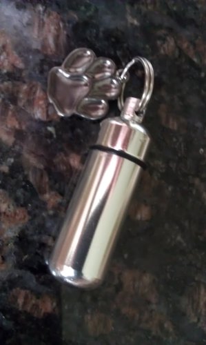 Companion Set of TWO Pet Cremation Urn Keychain Keepsake with Large Hematite Plated Paws - Includes Velvet Pouch & Fill Kit