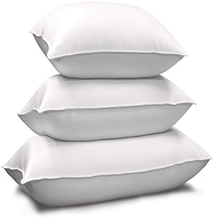 Blue Ridge Home Fashions 214111 Pillow, Standard