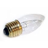 Buy 12V 25W Decorative Light Bulb E26 12 Volts Incandescent Lamp Medium Base (25 pack) by Low Voltage Lamps