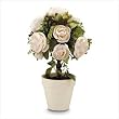 Rose Topiary