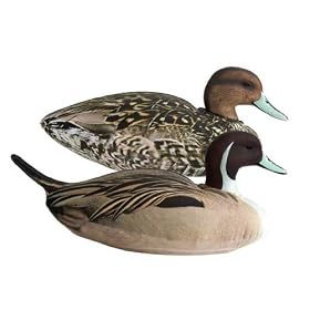 Click here to buy Cherokee Sports Featherlite Fusion Series Duck and Goose Decoys.