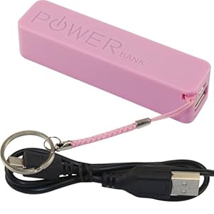 Amazon.com: Save4pay瓹ute Pink 2600mAh P
