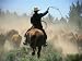 Cowboy Driving Cattle with Lasso through Central Oregon, USA Photographic Poster Print by Janis Miglavs, 42x56