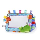 Taggies Tag n Smile Plushie Mirror