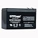 ExpertPower EXP1290 lead_acid_battery