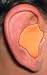 Radians Custom Molded Earplugs