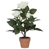 f-DECO ���[�Y�z���C�g 30cm