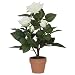 f-DECO ���[�Y�z���C�g 30cm