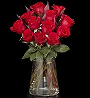 Autograph Dozen Freedom Roses