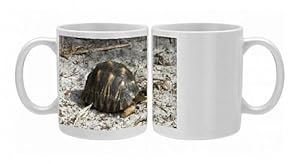 Radiated tortoise Photo Mugs