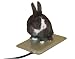 Pet Supplies : K&H Small Animal Heated Pad