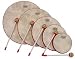 Remo Set of 5 Kid's Hand Drums with Mallets