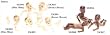 Heidi Ott Nude Baby To Dress Dollhouse Miniature