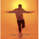 Guide (wommat)